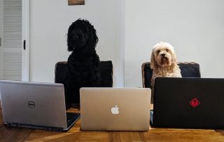 Ernest & Co Recruitment - Working from home